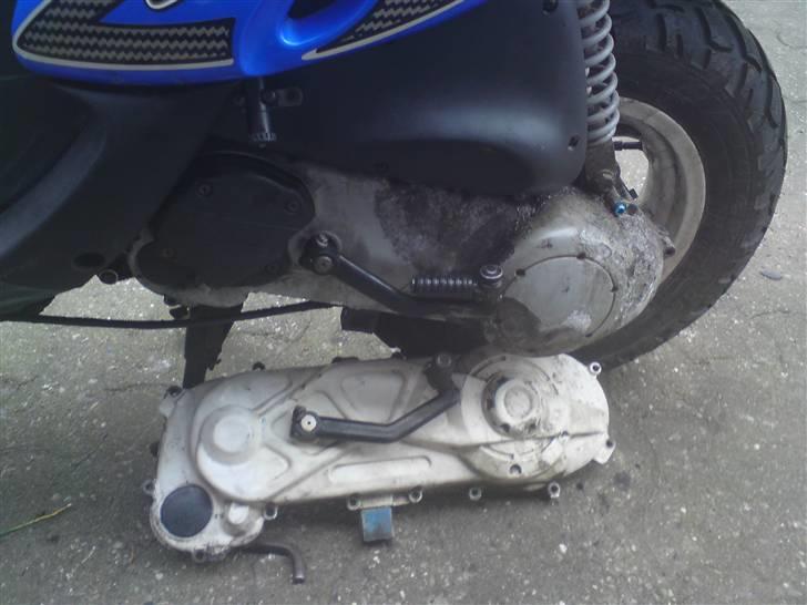 Gilera Stalker. værdags knallert - det er org skjoldet men det er fucked inden i  billede 15