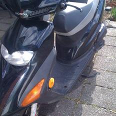 Honda SFX (Stjålet)