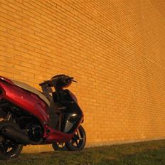 Honda Sfx Candy red (solgt)
