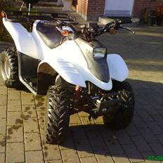 MiniBike dinli t-rex
