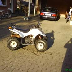 MiniBike dinli t-rex