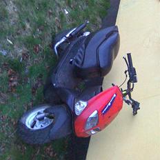 PGO trex TIL SALG...