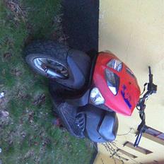 PGO trex TIL SALG...