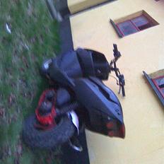 PGO trex TIL SALG...