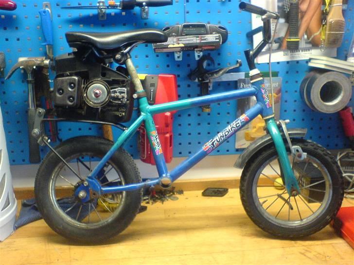 Adly                           billede 1