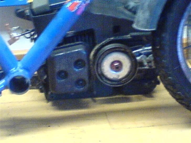 Adly                           billede 3