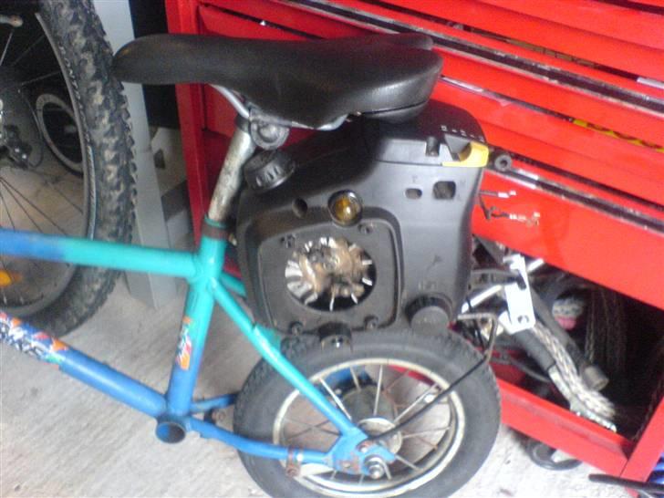 Adly                           billede 4