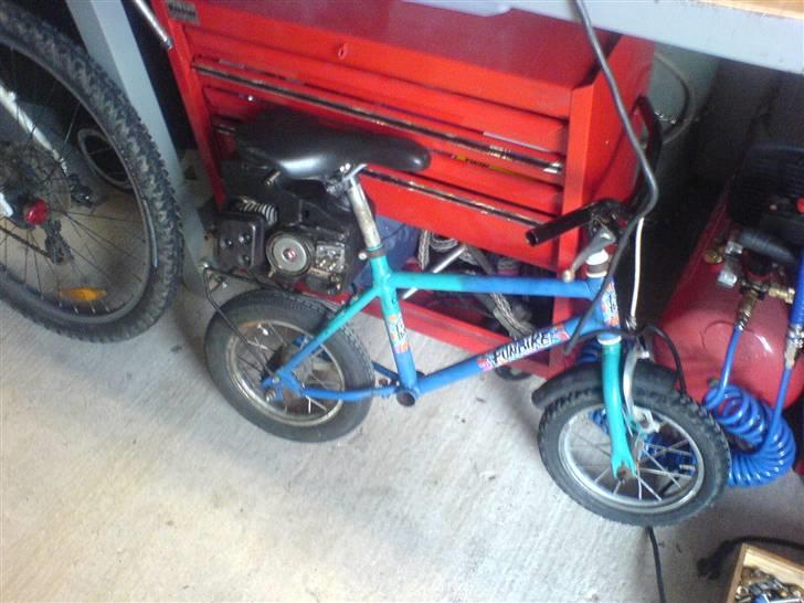 Adly                           billede 6