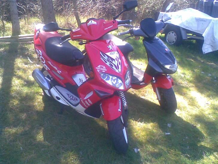 CPI hussar  billede 16