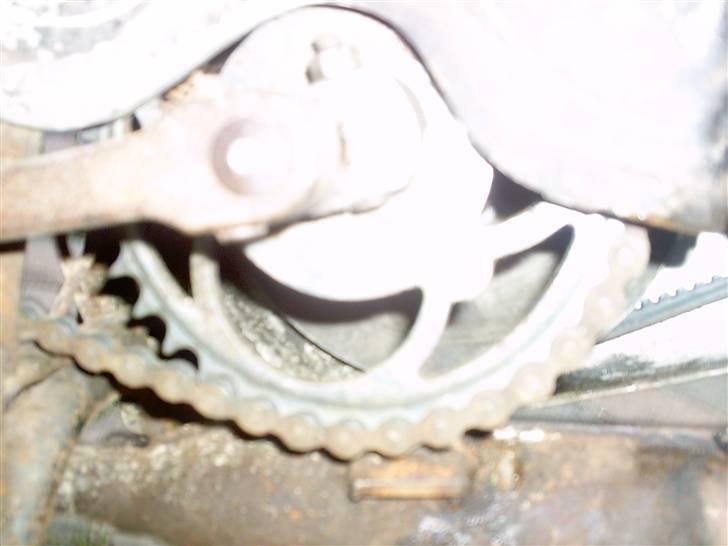 Veteraner skylon special billede 19