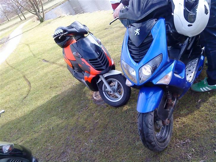 Aprilia Sonic *SOLGT* - billed fra: 24/02/09 billede 14