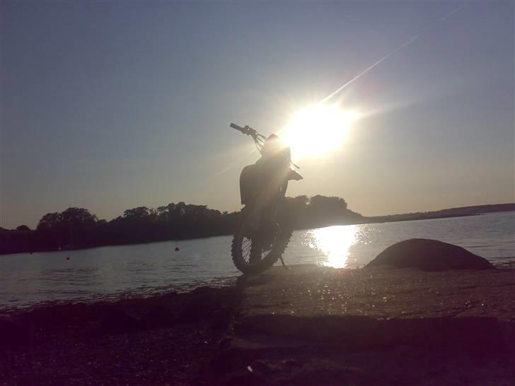 Suzuki rmx billede 10