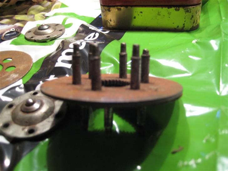 Sco Rekord billede 14