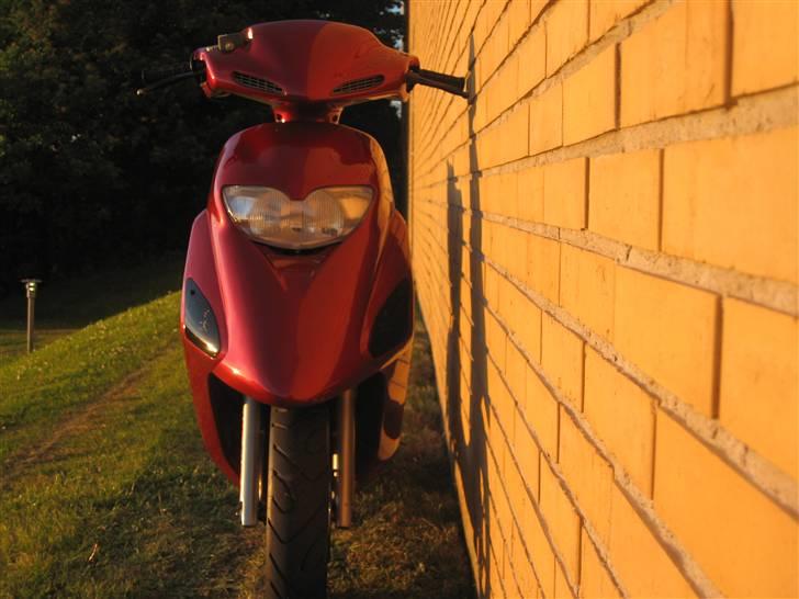 Honda Sfx Candy red (solgt) billede 2