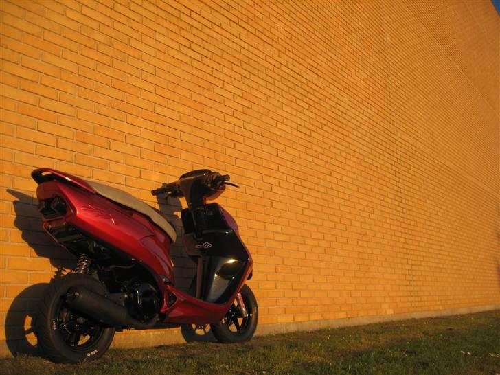 Honda Sfx Candy red (solgt) billede 3