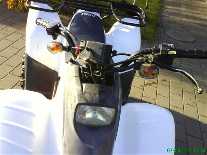 MiniBike dinli t-rex billede 1
