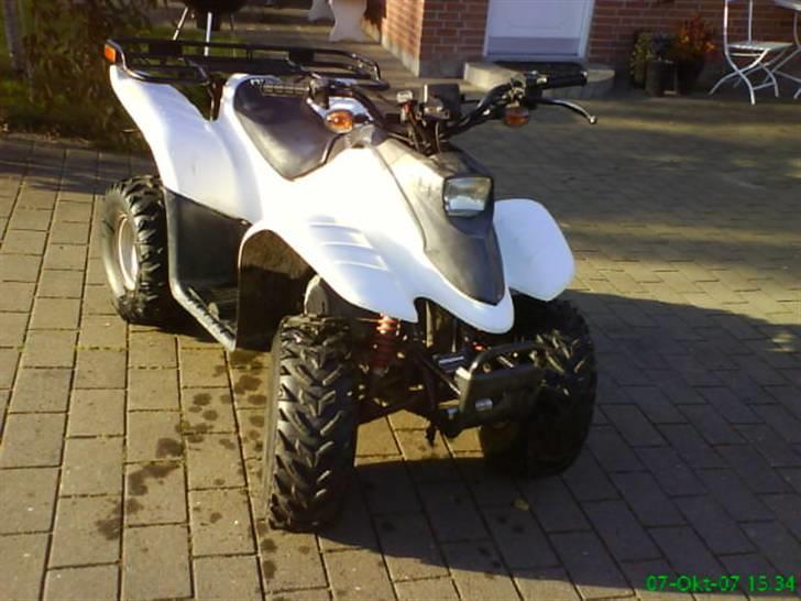 MiniBike dinli t-rex billede 2