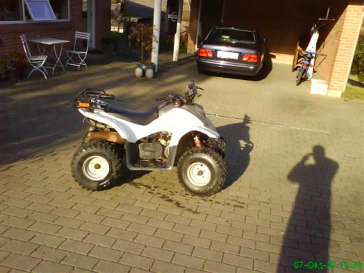 MiniBike dinli t-rex billede 3