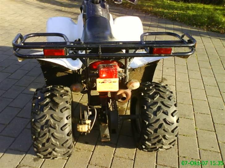 MiniBike dinli t-rex billede 4