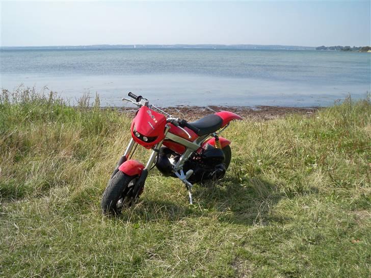 Suzuki Street Magic AC --Solgt-- billede 13