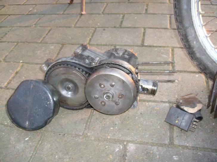 Veteraner jawa billede 2