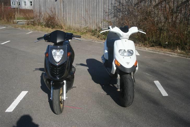 Aprilia Sonic AC - Min sonic og -» Team Nordsjælland 3650 - Mark «- ™ !´s    Stalker som er samlet billede 16