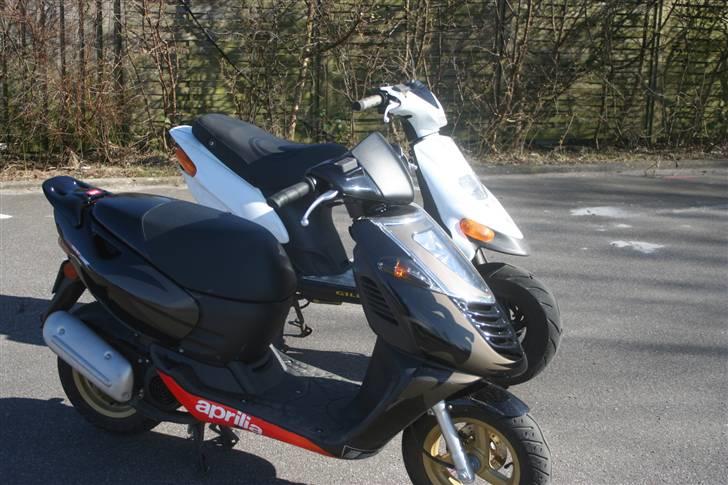 Aprilia Sonic AC - Min sonic og -» Team Nordsjælland 3650 - Mark «- ™ !´s    Stalker som er samlet billede 17