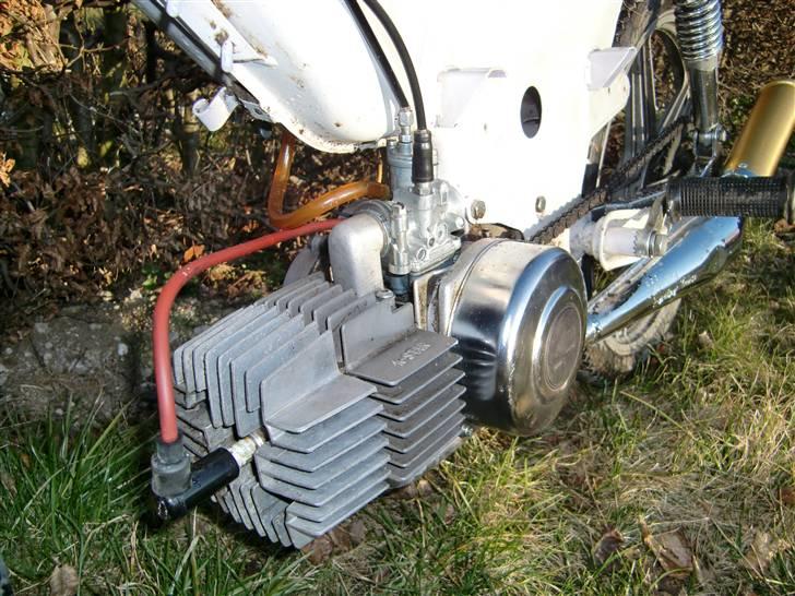 Puch Maxi KL **SOLGT** billede 5