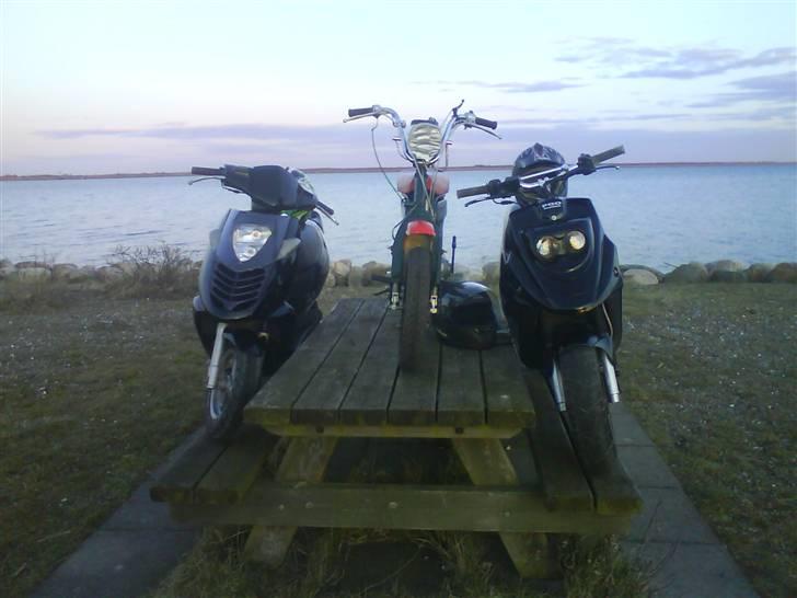 PGO hot 50 (solgt) - jeg anders og kris var lige ude og lege lidt haha var sku sjovt gutter billede 7