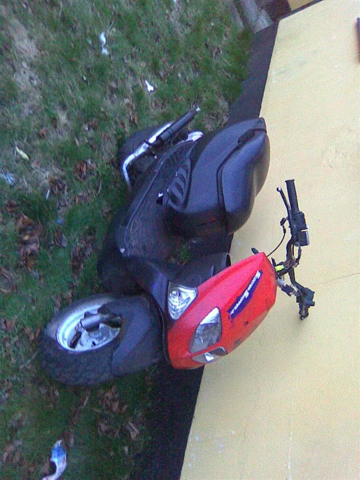 PGO trex TIL SALG... billede 1