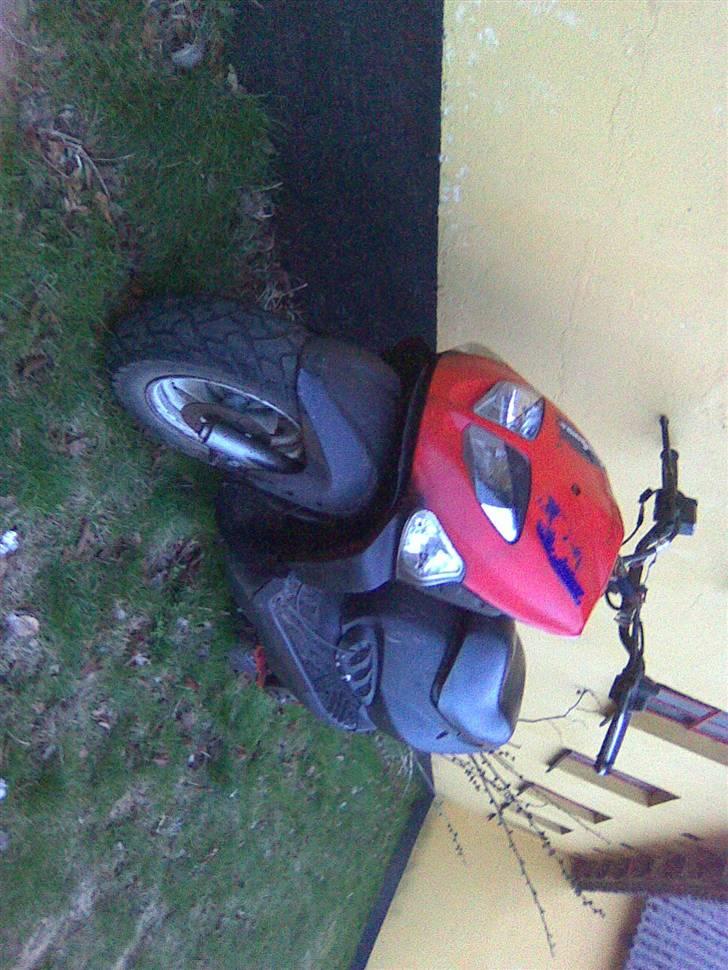 PGO trex TIL SALG... billede 2