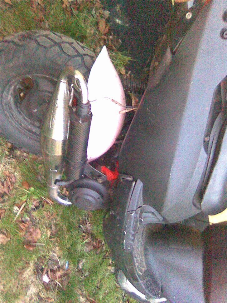 PGO trex TIL SALG... billede 4