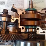 Puch maxi kl (SOLGT)