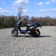 PGO Pmx Naked Carbon