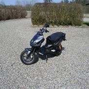 PGO Pmx Naked Carbon