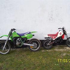 Kawasaki kx 80, lille brors nu