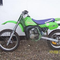 Kawasaki kx 80, lille brors nu