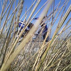 Yamaha Jog R Hjemme igen :b