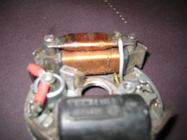 Sco Rekord billede 15