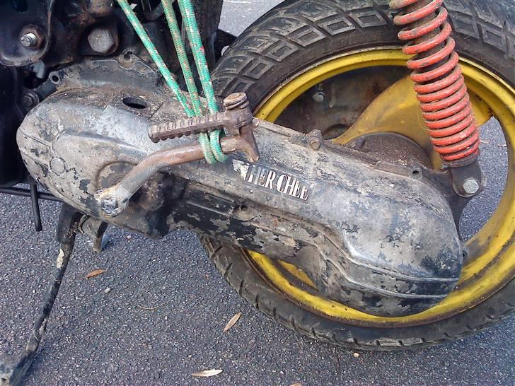 Adly Cat ~BYTTET TIL MC~ billede 7