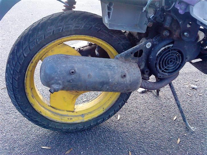 Adly Cat ~BYTTET TIL MC~ billede 8