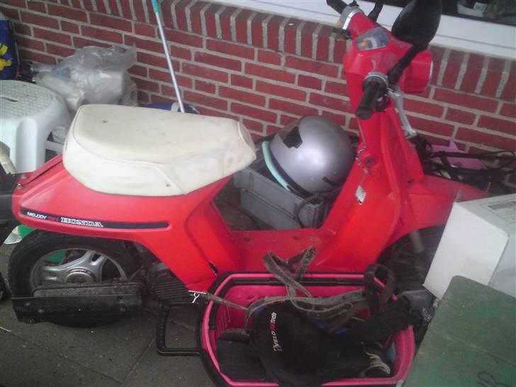 Honda Mini Melodi billede 1