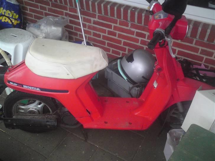 Honda Mini Melodi billede 5