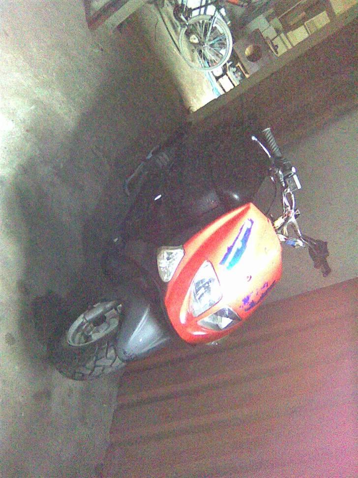 PGO trex TIL SALG... billede 5