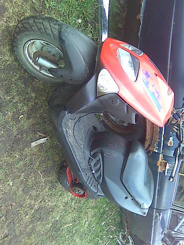 PGO trex TIL SALG... billede 6