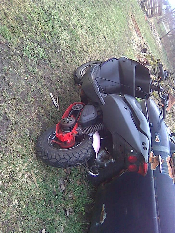 PGO trex TIL SALG... billede 7