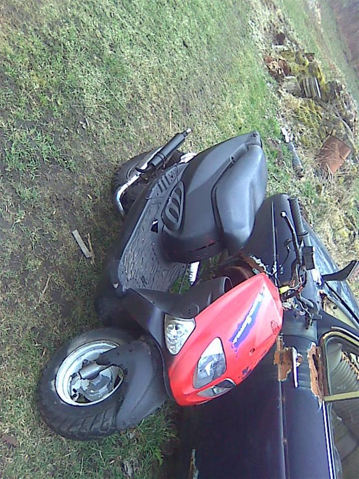 PGO trex TIL SALG... billede 9