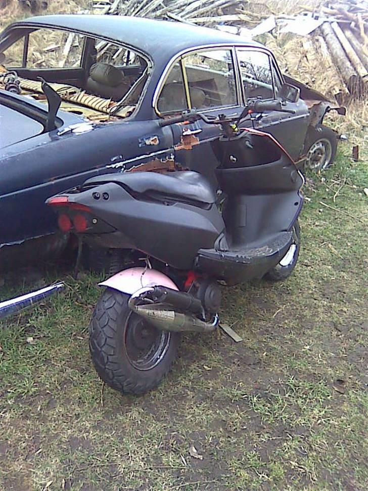 PGO trex TIL SALG... billede 10