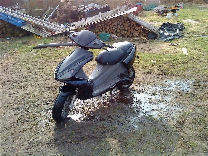 Benelli 491!.. billede 8