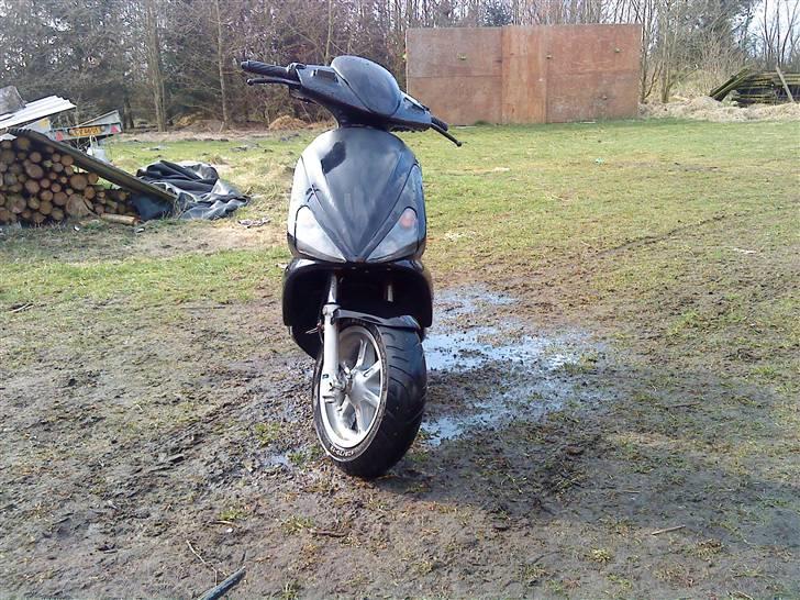 Benelli 491!.. billede 9